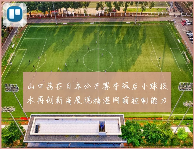 山口茜在日本公开赛夺冠后小球技术再创新高展现精湛网前控制能力