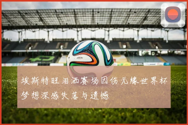 埃斯特旺泪洒赛场因伤无缘世界杯梦想深感失落与遗憾