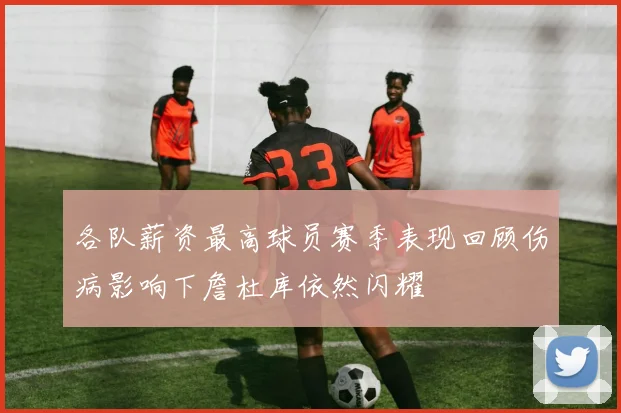 各队薪资最高球员赛季表现回顾伤病影响下詹杜库依然闪耀