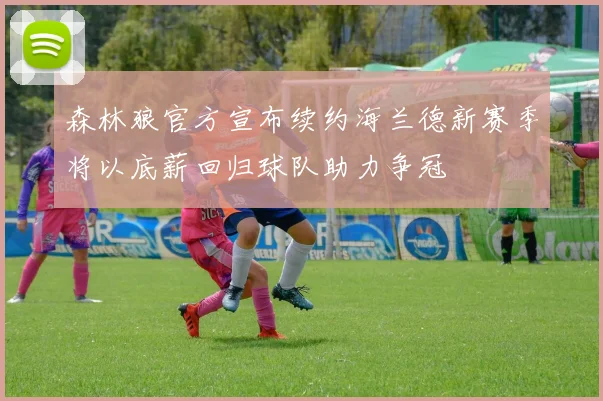 森林狼官方宣布续约海兰德新赛季将以底薪回归球队助力争冠
